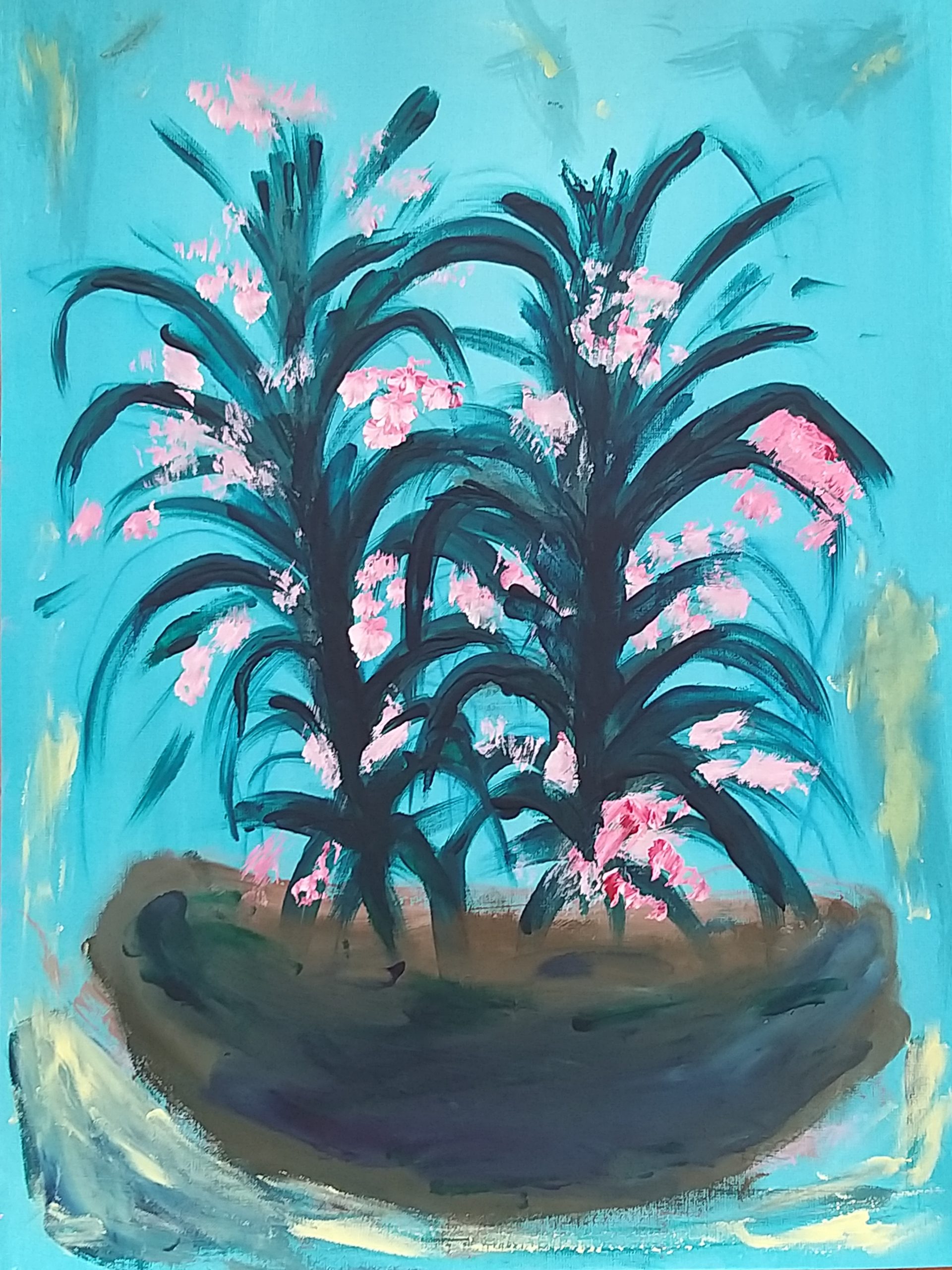 Daphnes on a pot